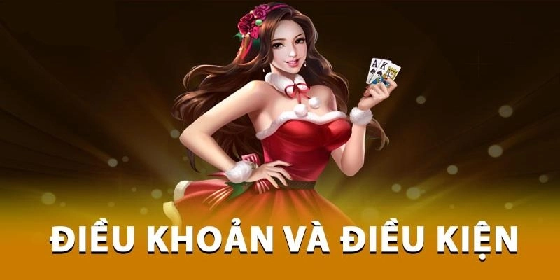 Cập Nhật Điều Khoản Điều Kiện NET88